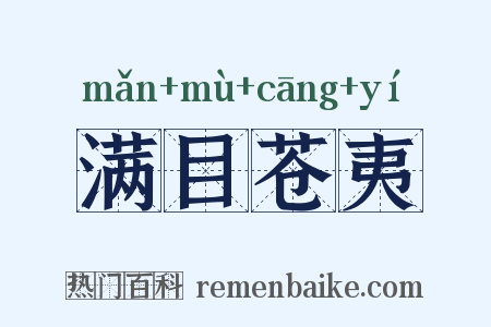满目苍夷是什么意思的图片